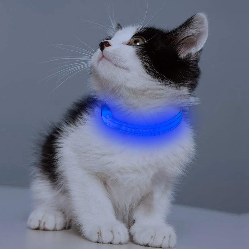 Puppy LED Dog Collar - Rechargeable Light up Dog Collar Reflective Glowing Pet Collars Keep Your Small Dogs and Cats Visible & Safe in the Dark (XS, Royal Blue)