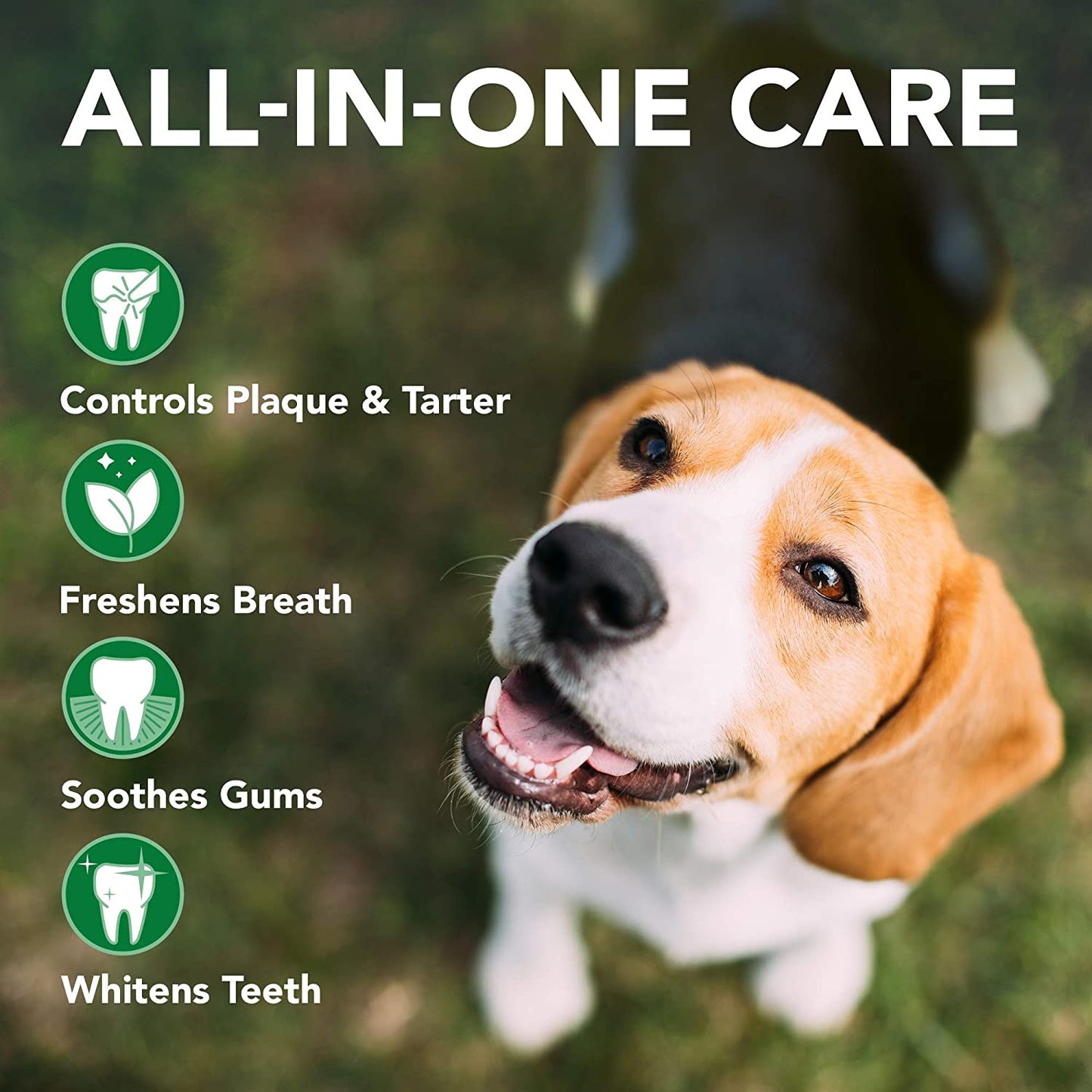 Dog Toothbrush & Toothpaste Kit - Natural Ingredients Reduce Plaque, Whiten Teeth, Freshen Breath