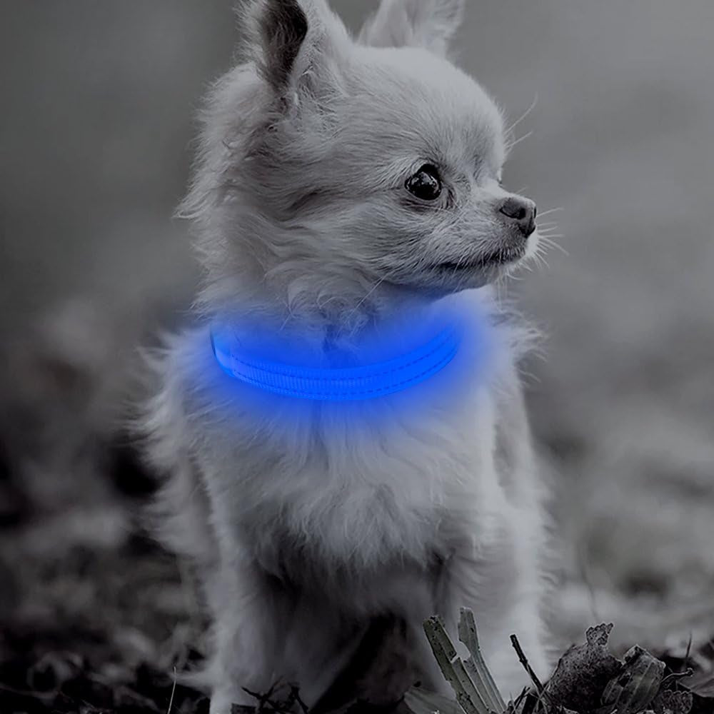 Puppy LED Dog Collar - Rechargeable Light up Dog Collar Reflective Glowing Pet Collars Keep Your Small Dogs and Cats Visible & Safe in the Dark (XS, Royal Blue)