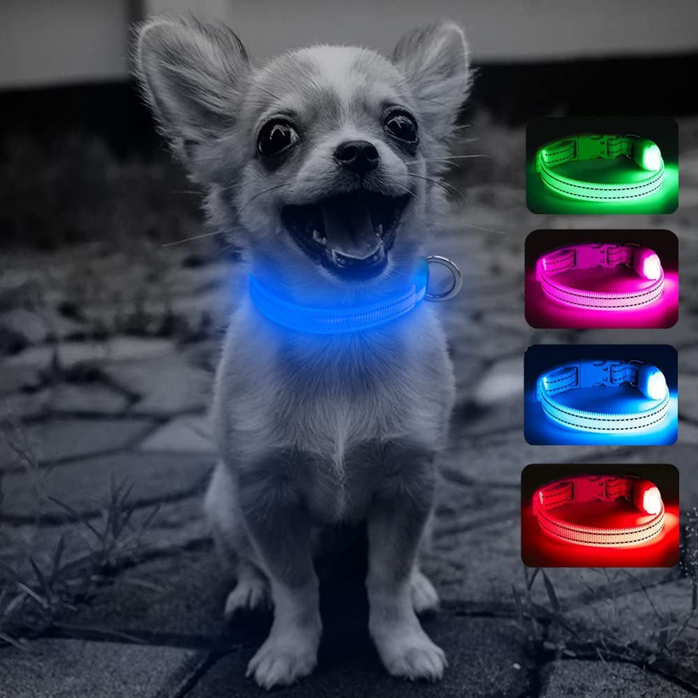 Puppy LED Dog Collar - Rechargeable Light up Dog Collar Reflective Glowing Pet Collars Keep Your Small Dogs and Cats Visible & Safe in the Dark (XS, Royal Blue)