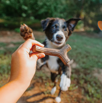 Benebone Puppy 2-Pack Maplestick/Zaggler Bacon Tiny Dog Chew Toy