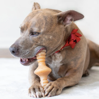 Benebone Zaggler Chicken Dog Chew Toy