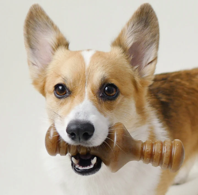 Benebone Zaggler Peanut Dog Chew Toy