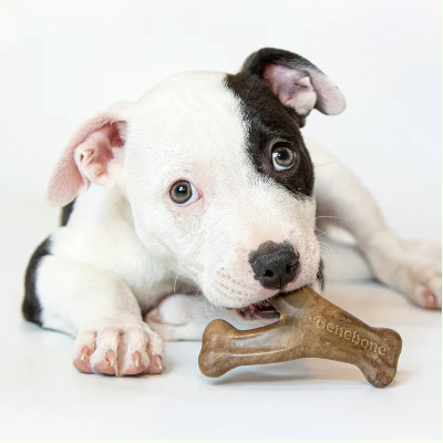 Benebone Puppy Wishbone Bacon Dog Chew Toy