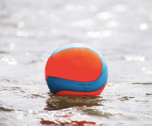 Chuckit! Amphibious Mega Ball Dog Toy